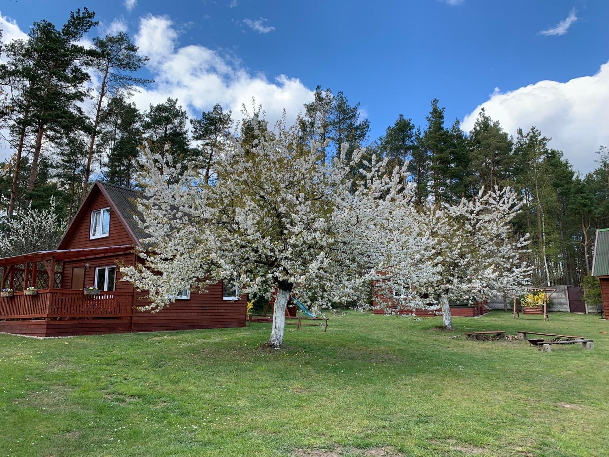 Gryfne Kaszuby Villa Kamienica Krolewska Dış mekan fotoğraf